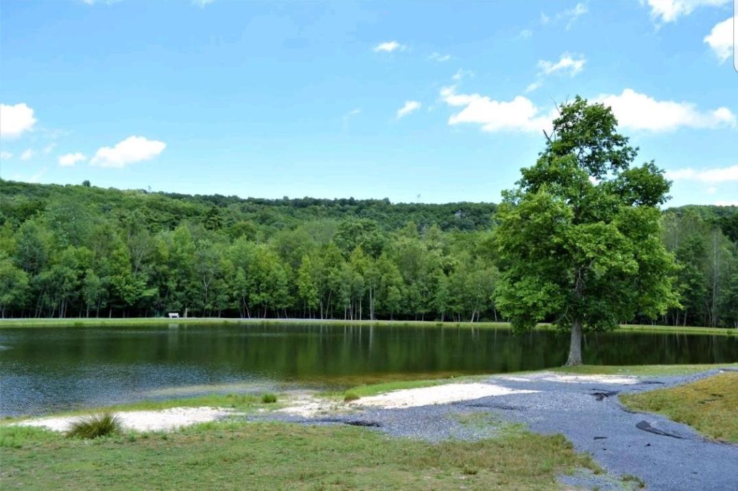 *Amenity-Filled Waterfront Oasis @Saw Creek Estates Near Waterfalls And Hiking* East Stroudsburg Kültér fotó