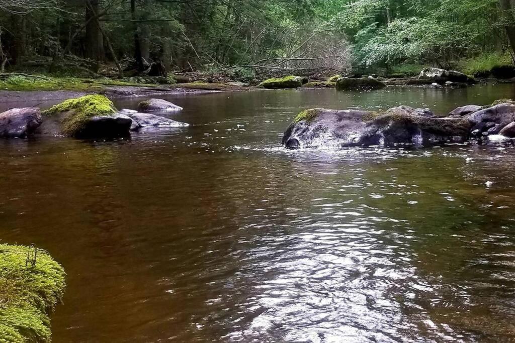 *Amenity-Filled Waterfront Oasis @Saw Creek Estates Near Waterfalls And Hiking* East Stroudsburg Kültér fotó